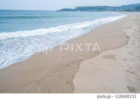 「青森県」みちのく潮風トレイル大須賀海岸の風景・八戸市 「青森県」みちのく潮風トレイル大須賀海岸の風景・八戸市 116600231