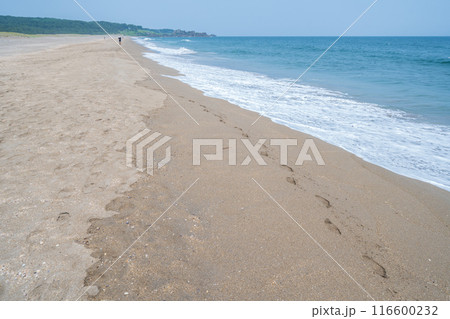 「青森県」みちのく潮風トレイル大須賀海岸の風景・八戸市 116600232