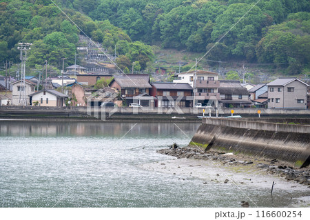 岡山県笠岡市　金浦湾のレトロな漁村風景 116600254