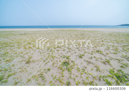 「青森県」みちのく潮風トレイル大須賀海岸の風景・八戸市 116600306