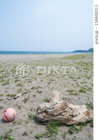 「青森県」みちのく潮風トレイル大須賀海岸の風景・八戸市 「青森県」みちのく潮風トレイル大須賀海岸の風景・八戸市 116600311