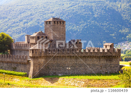 Medieval castle of Montebello on summer day. Bellinzona. Switzerland 116600439