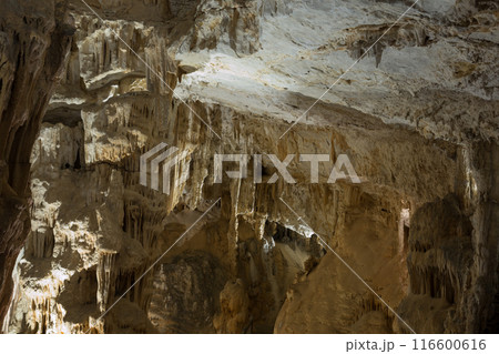 Image of illuminated view of Grotte des Demoiselles in France 116600616