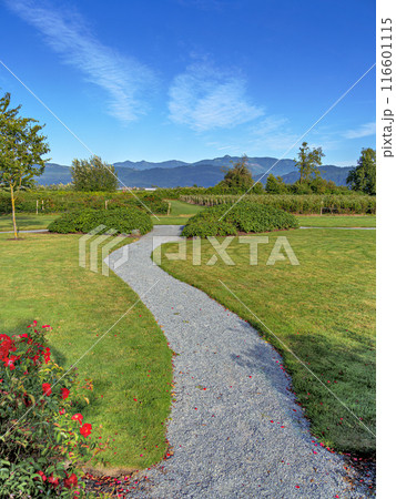Gravel pathway over green lawn to farm orchard fields with mountains skyline Gravel pathway over green lawn to farm orchard fields with mountains skyline 116601115
