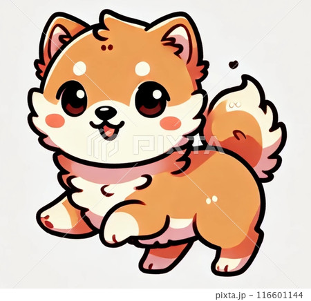 元気な柴犬 116601144