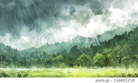 降りしきる雨の中の日本の山林の水彩イラスト風景 降りしきる雨の中の日本の山林の水彩イラスト風景 116601259