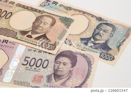 お金　新紙幣 116601547