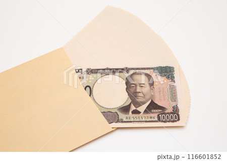 封筒からたくさんの一万円札(新紙幣) 封筒からたくさんの一万円札(新紙幣) 116601852