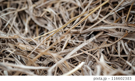 Dry straw texture with interwoven strands close-up. Dry straw texture with interwoven strands close-up. 116602383
