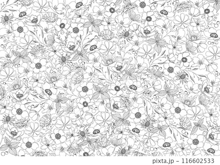 美しい花の線画、ボタニカル背景素材 116602533