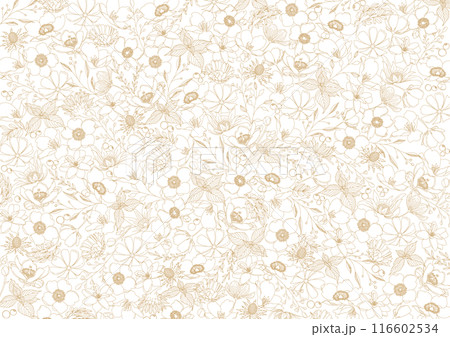 美しい花の線画、ボタニカル背景素材 116602534