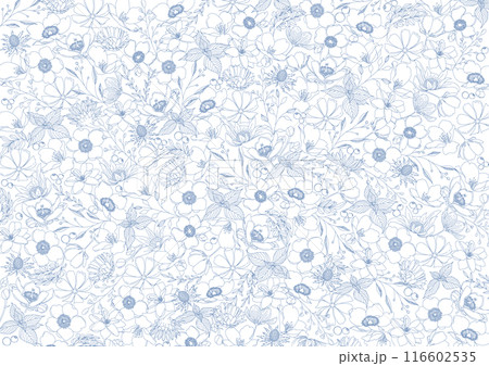 美しい青色の花の線画、ボタニカル背景素材 116602535