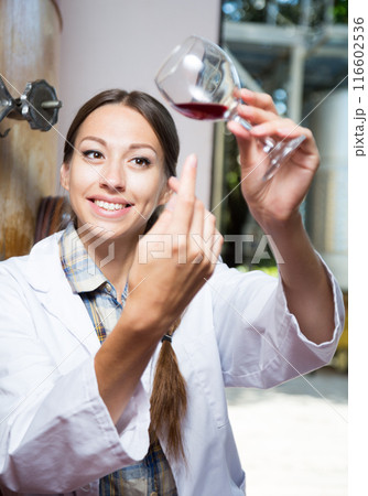 Professional woman checks the wine at factory 116602536