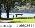 旅先の湖畔を望む公園 116602644