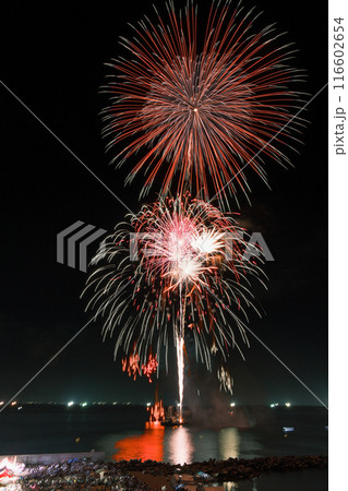 河野海岸花火大会 116602654