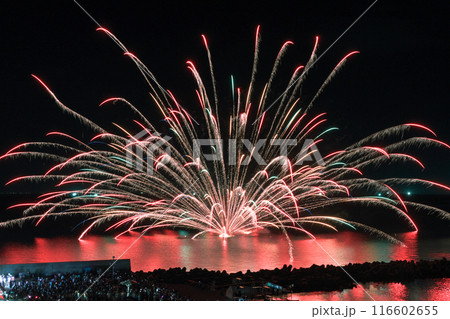 河野海岸花火大会 116602655
