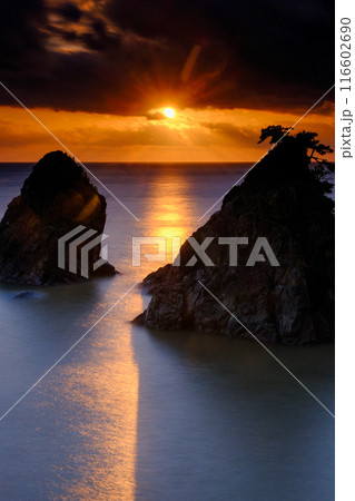 美しい海岸の夕景 116602690