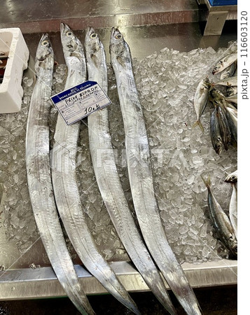 Close up sea food for sale at the market in Olhao, Algarve.  116603120