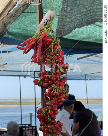 Close up vegetables for sale at the market in Olhao, Algarve. 116603139