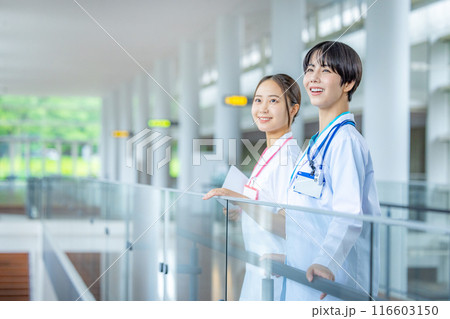 医療スタッフ、働く人々、医師、看護師、介護士、医療事務、トレーナー 116603150