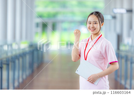 若い介護士 若い介護士 116603164