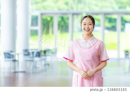 介護士の若い女性 116603183