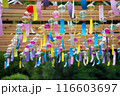 カラフルな風鈴まつりの風景 116603697