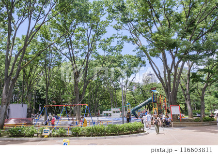 新宿中央公園　家族連れで賑わう児童公園　東京都新宿区 116603811