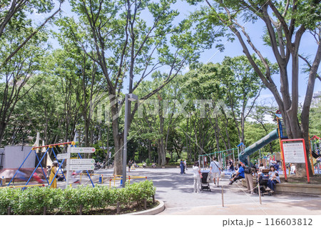 新宿中央公園　家族連れで賑わう児童公園　東京都新宿区 116603812