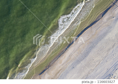 sandy beach on the seashore, view from above sandy beach on the seashore, view from above 116603827