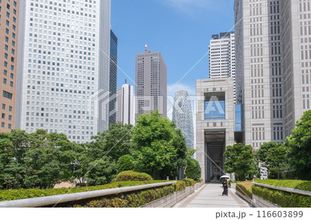 西新宿 新宿中央公園と都庁を結ぶ歩道橋 東京都新宿区 西新宿 新宿中央公園と都庁を結ぶ歩道橋 東京都新宿区 116603899