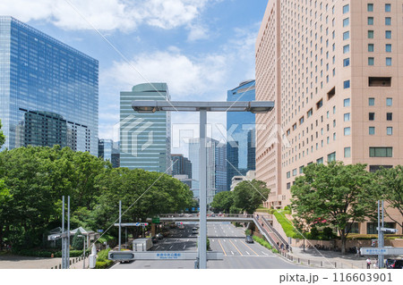 西新宿 公園通り 新宿中央公園と高層ビル群 東京都新宿区 西新宿 公園通り 新宿中央公園と高層ビル群 東京都新宿区 116603901