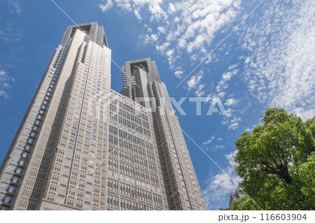 西新宿　新宿中央公園から望む都庁第一本庁舎　東京都新宿区 116603904