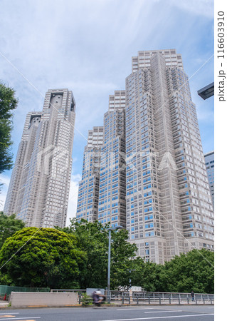 西新宿　南通りから新宿中央公園越しに望む都庁本庁舎　東京都新宿区 116603910