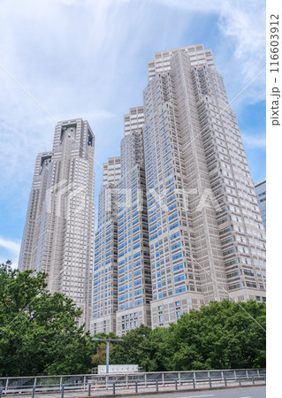 西新宿 南通りから新宿中央公園越しに望む都庁本庁舎 東京都新宿区 西新宿 南通りから新宿中央公園越しに望む都庁本庁舎 東京都新宿区 116603912