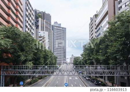 西新宿　公園通りから首都高への入り口周辺の街並み　東京都新宿区 116603913