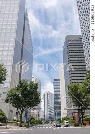 西新宿 議事堂南交差点と議事堂通り沿いの高層ビル群 東京都新宿区 西新宿 議事堂南交差点と議事堂通り沿いの高層ビル群 東京都新宿区 116603918
