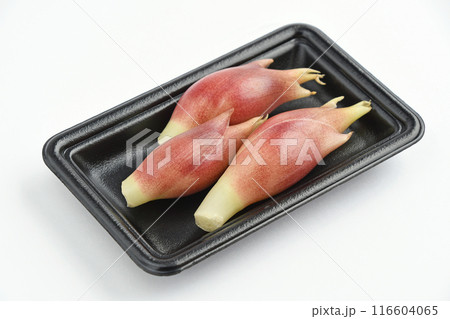 みょうが（茗荷） 116604065