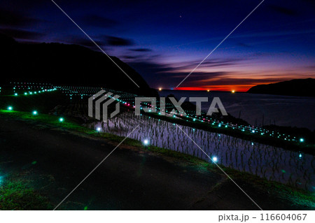 月夜の棚田 月夜の棚田 116604067