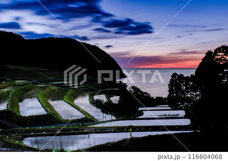 月夜の棚田 116604068