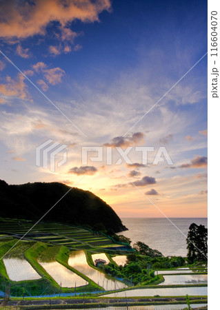 月夜の棚田 月夜の棚田 116604070