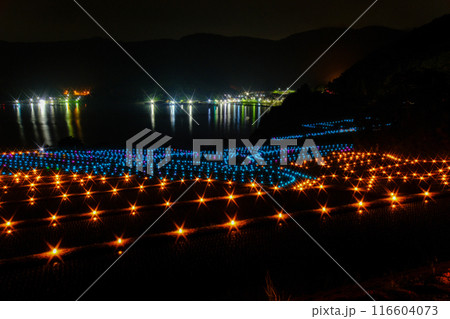 月夜の棚田 月夜の棚田 116604073