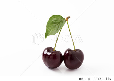 白バックのアメリカンチェリー 116604115