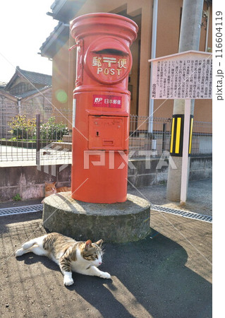 妻入りの街並み ポストと猫(新潟県) 妻入りの街並み ポストと猫(新潟県) 116604119