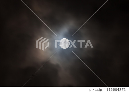 満月の月光が照らす暗夜の神秘的な風景 116604271
