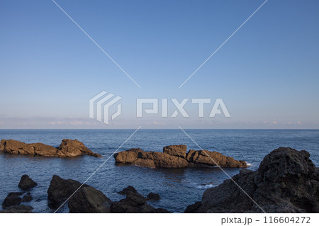 穏やかな波が寄せる朝の海岸風景 116604272