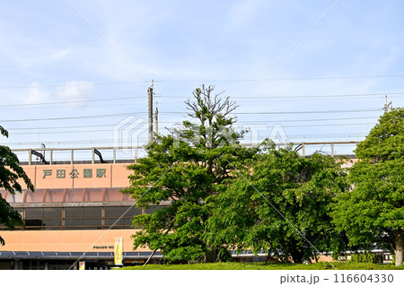 戸田公園駅(西口) 戸田公園駅(西口) 116604330