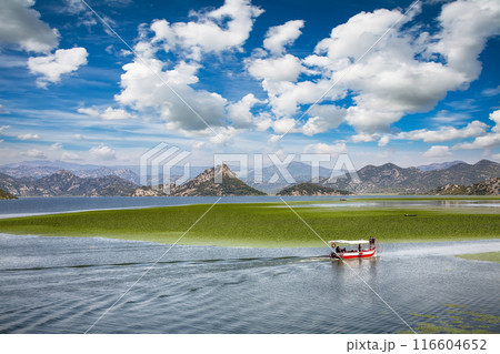 Captivating view of Skadar lake surrounded by green mountain peaks on a sunny day. Captivating view of Skadar lake surrounded by green mountain peaks on a sunny day. 116604652