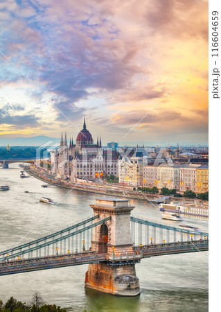 Budapest city evening scene. View at Chain bridge Budapest city evening scene. View at Chain bridge 116604659