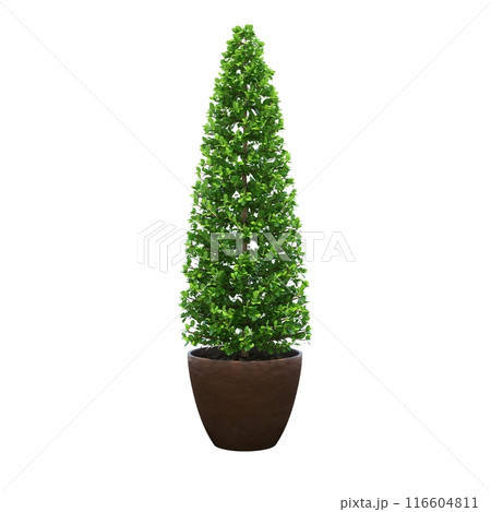 decorative flower in a pot isolated on white background, 3D illustration, cg render 116604811